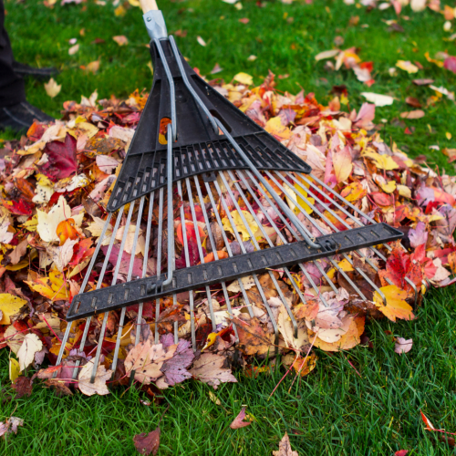 Untitled design (14)